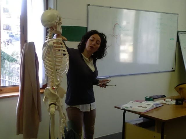 Lezione di anatomia