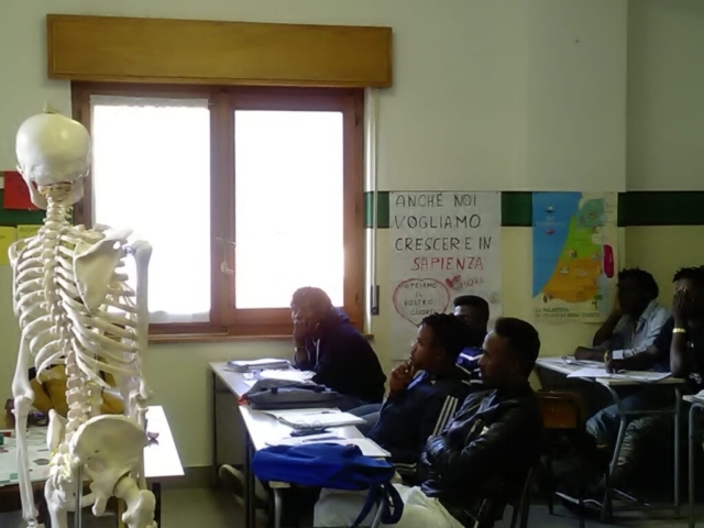 Lezione di anatomia