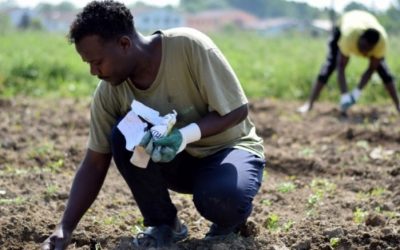 Convegno – Salute mentale e dipendenze nei migranti