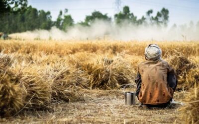 Lavoro e contrasto alla povertà | 3 maggio con Umanità Migrante