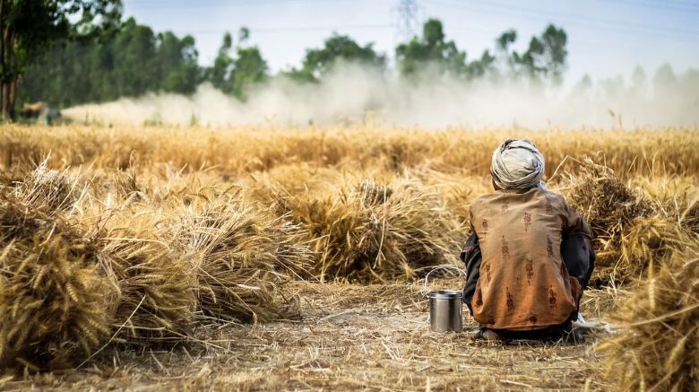 Lavoro e contrasto alla povertà | 3 maggio con Umanità Migrante