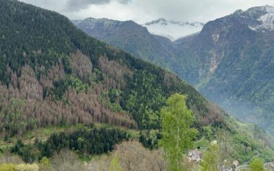 Agroecologia e rifugiati | Dal turismo sostenibile alla lavorazione dei cereali