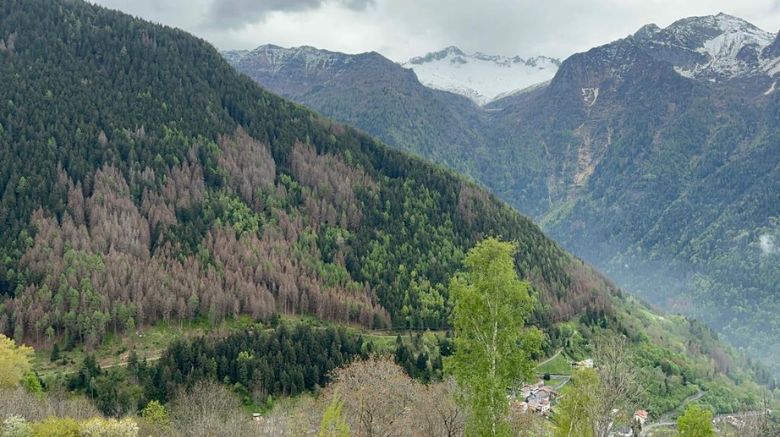 Agroecologia e rifugiati | Dal turismo sostenibile alla lavorazione dei cereali