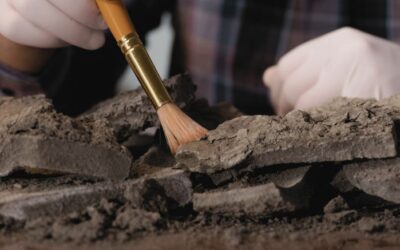 Intorno a Minerva 3° incontro studi a Breno | 14-15 ottobre